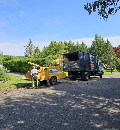 Erick's Tree Service crew and wood chipper working on a residential street