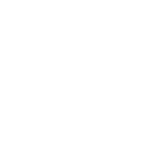 Broom