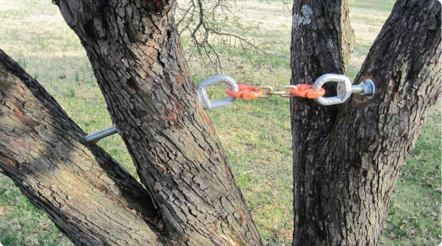 Cabling & Bracing