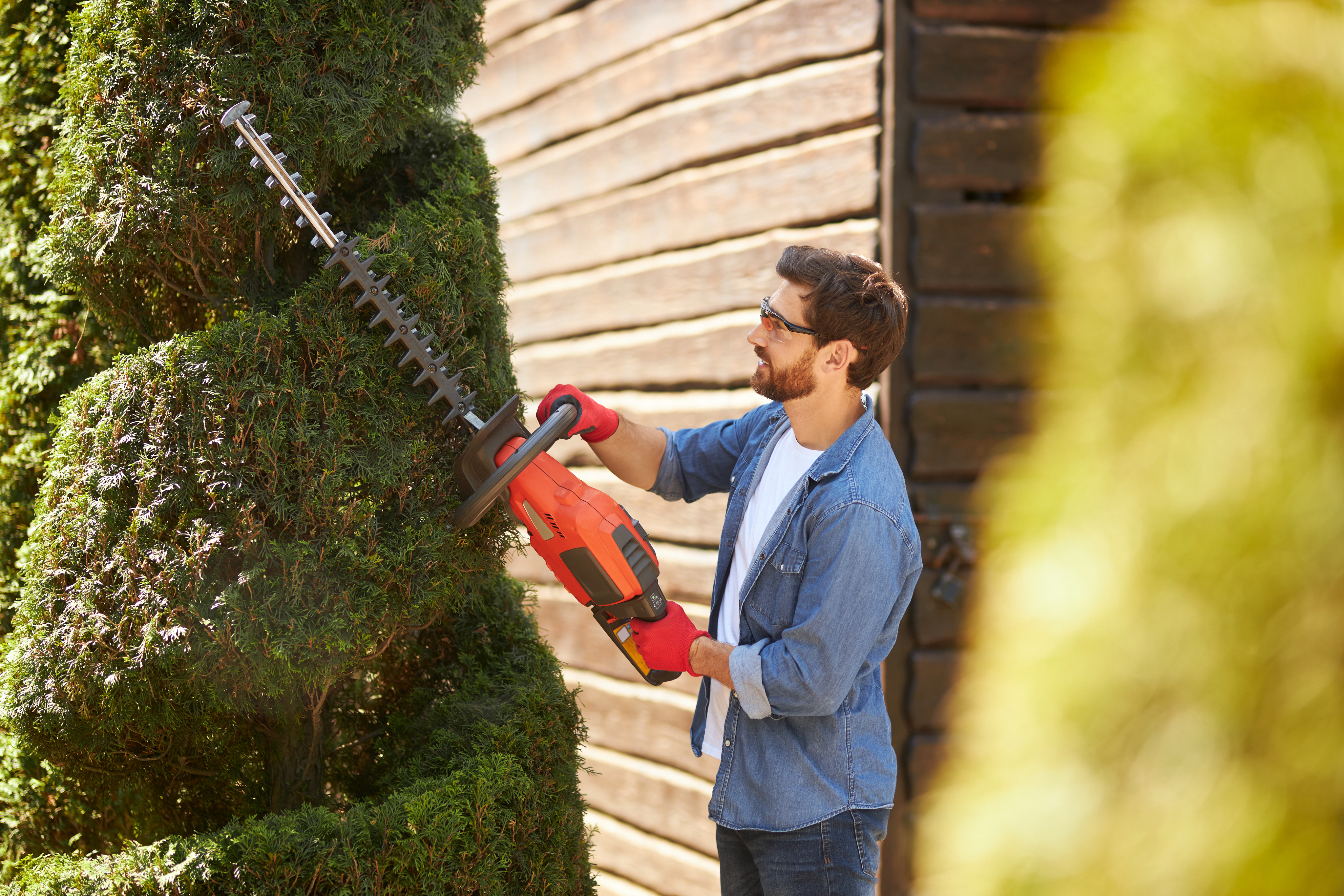 Tree Pruning & Trimming