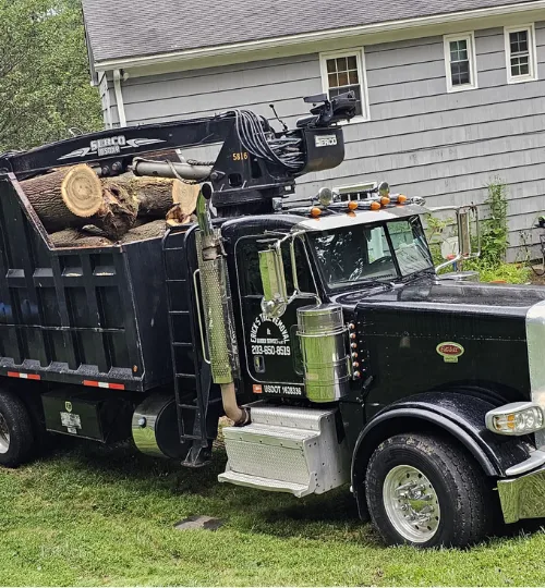 Stump Grinding