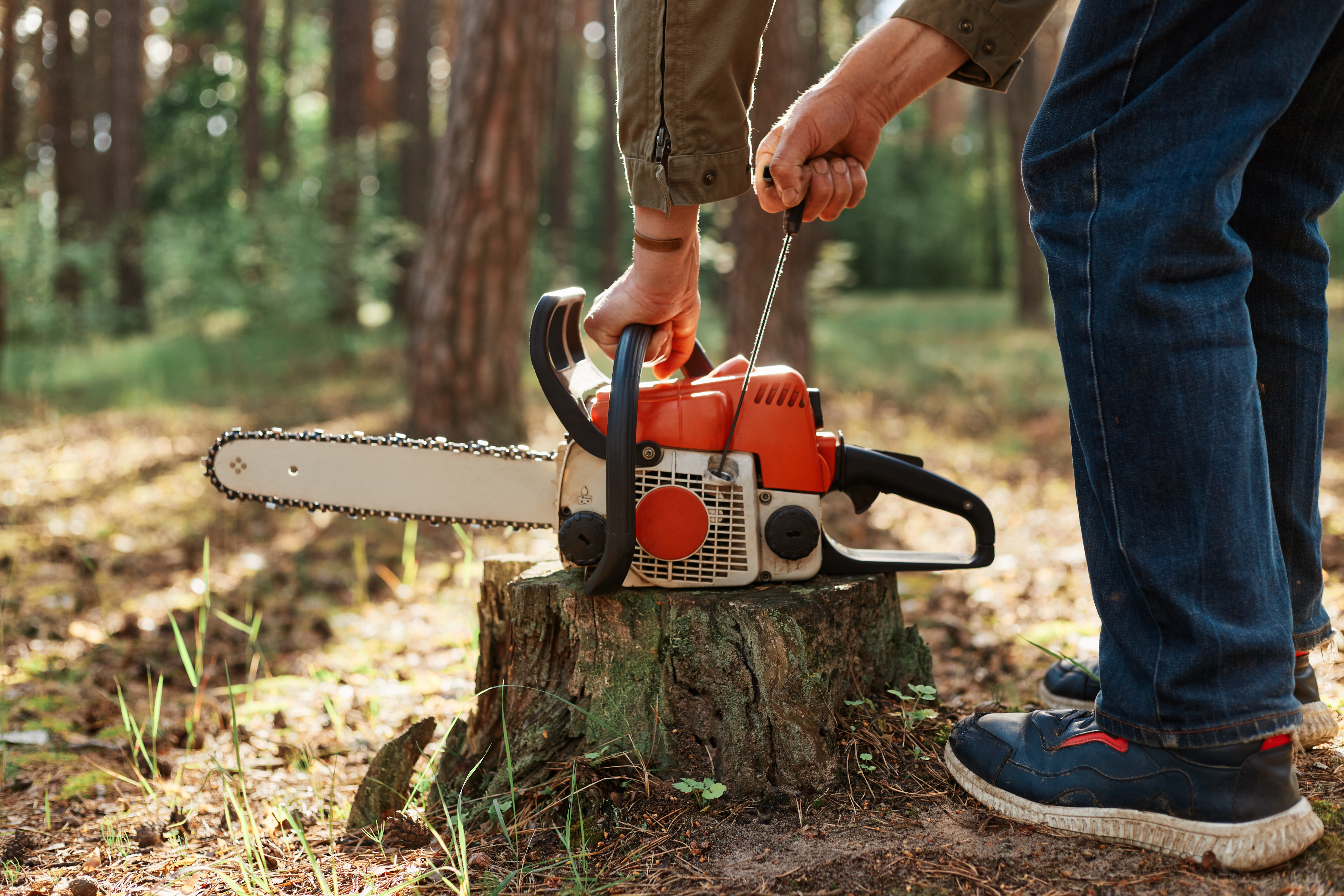 Tree Removal